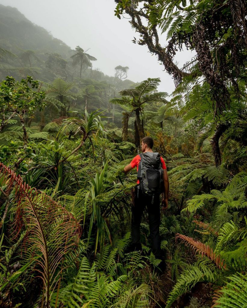 Quoi faire en Polynésie ? 6 randonnées d&rsquo;exception avec Tahiti Tourisme dans l&rsquo;Outre-mer