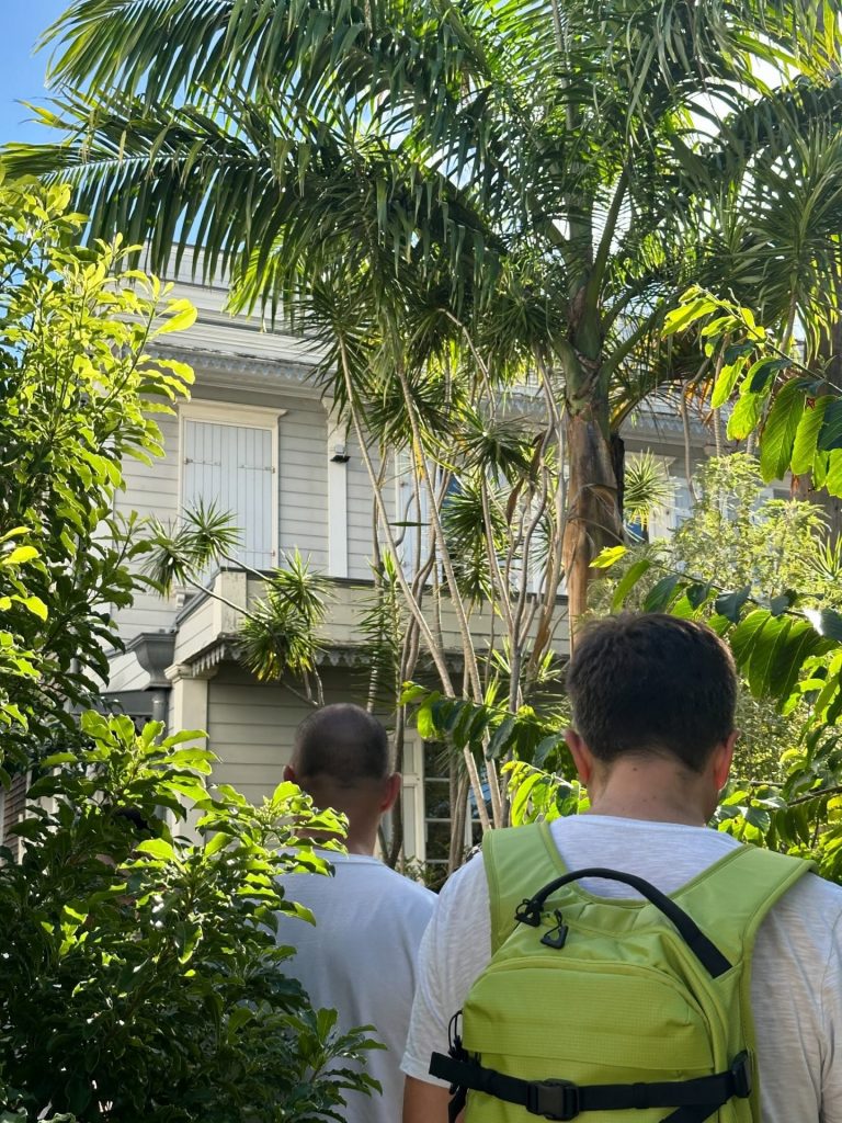 Explorer le patrimoine d&rsquo;exception : comment visiter la Maison Carrère et son jardin créole à Saint-Denis de la Réunion ?