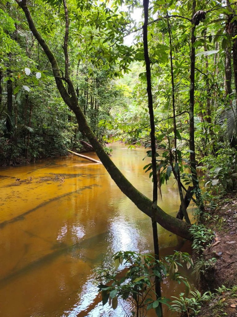 Où voyager en Outre-mer : explorez les majestueuses Chutes Voltaire soutenues par la Collectivité Territoriale de Guyane