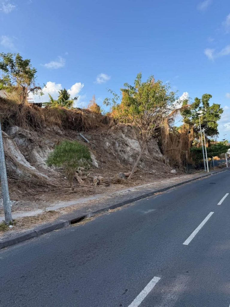 Écotourisme à Pamandzi : la commune s&rsquo;engage pour préserver son cadre de vie et ses espaces naturels à Mayotte