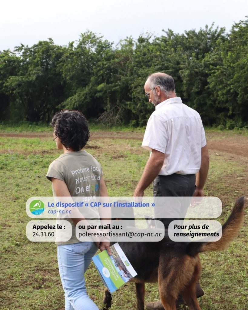 Où investir et s&rsquo;installer en Outre-mer : le guide d&rsquo;accompagnement de la Chambre d&rsquo;agriculture et de la pêche de Nouvelle-Calédonie !