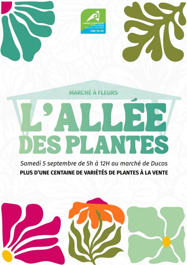Idées de sorties à Nouméa : vivez une matinée végétale en Nouvelle-Calédonie au cœur de l&rsquo;Outre-mer