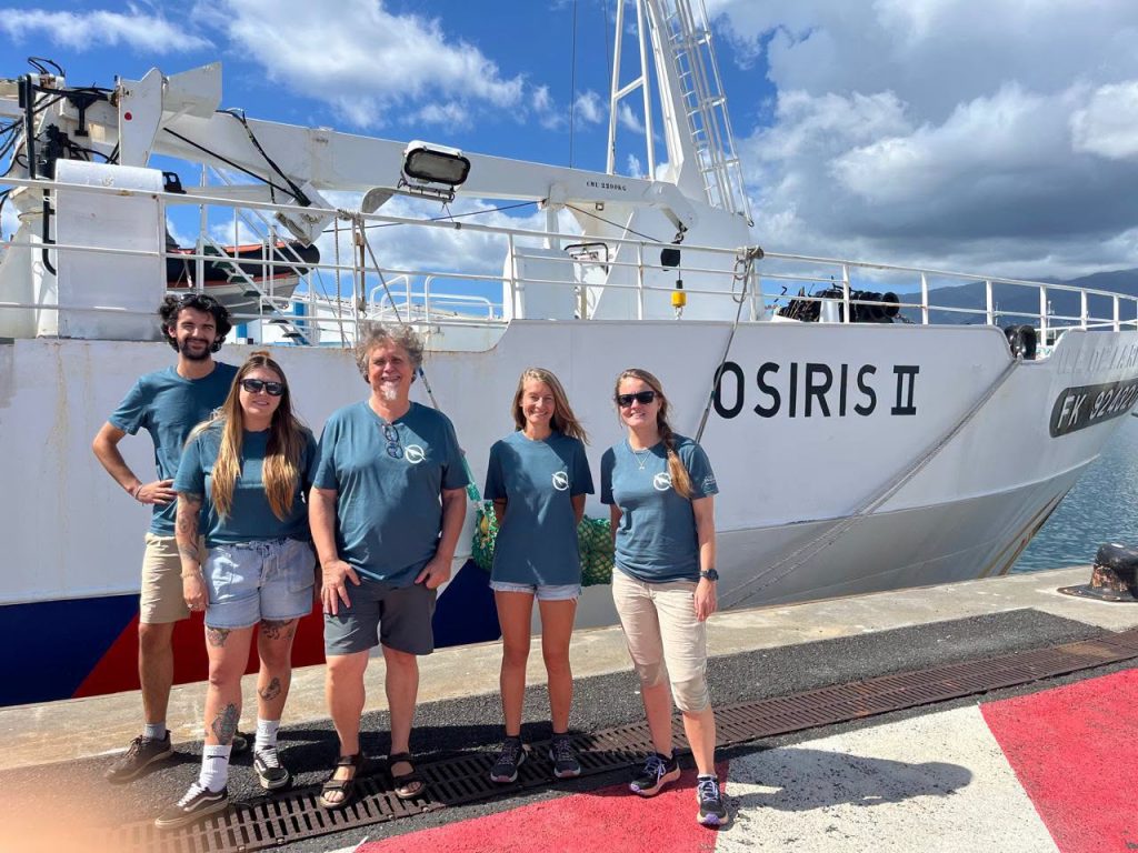 Observation des baleines et dauphins à La Réunion : les révélations de la mission scientifique NeMMO en Outre-mer