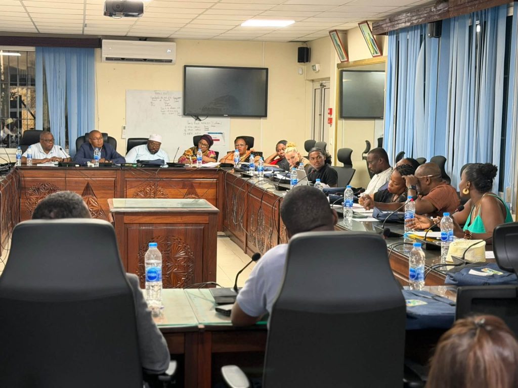 Comment Pamandzi dynamise le tourisme et la culture à Mayotte : les grands projets votés pour l&rsquo;Outre-mer
