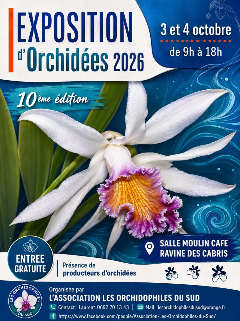 Comment découvrir l&rsquo;exposition d&rsquo;orchidées à La Réunion, l&rsquo;événement floral incontournable en Outre-mer ?