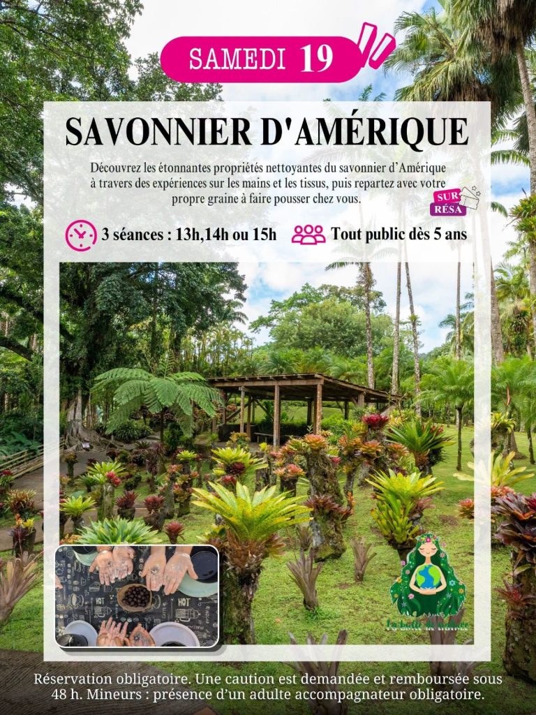 Comment visiter le Jardin de Balata en Martinique : Participez à un atelier botanique inédit en Outre-mer