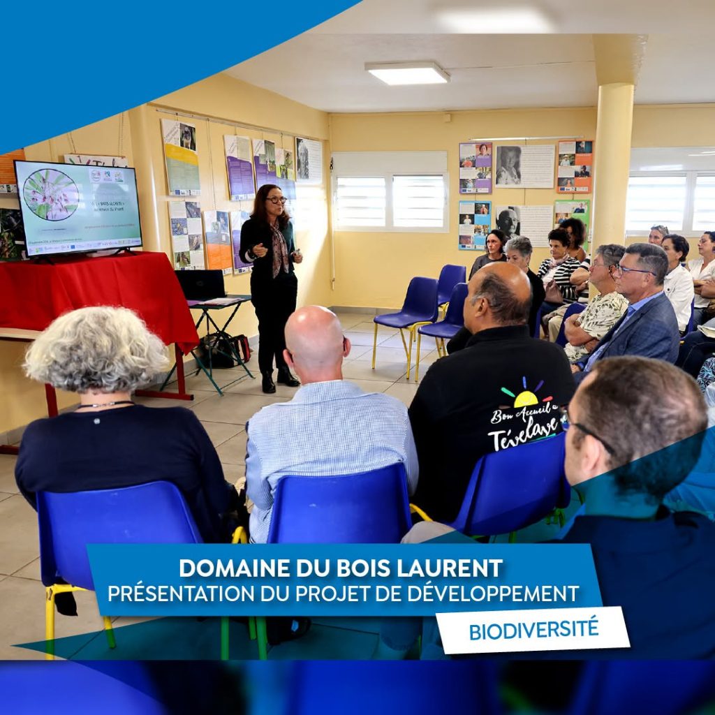 Quoi faire aux Avirons ? Découvrez le projet du Domaine du Bois Laurent au Tévelave à La Réunion, au cœur de l&rsquo;Outre-mer