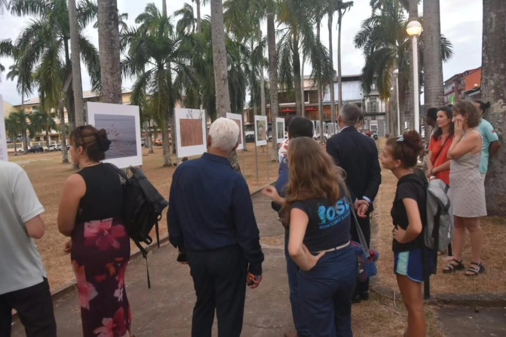 Écotourisme en Guyane : Comment découvrir la biodiversité marine de ce joyau d&rsquo;Outre-mer à Cayenne ?