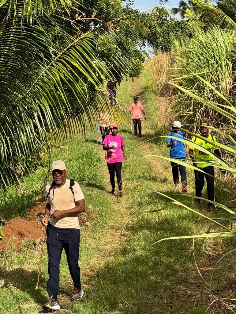 Idées de sorties au Saint-Esprit en Martinique : pourquoi la Randonnée des 7 km de Duchâtel est le rendez-vous nature incontournable en Outre-mer