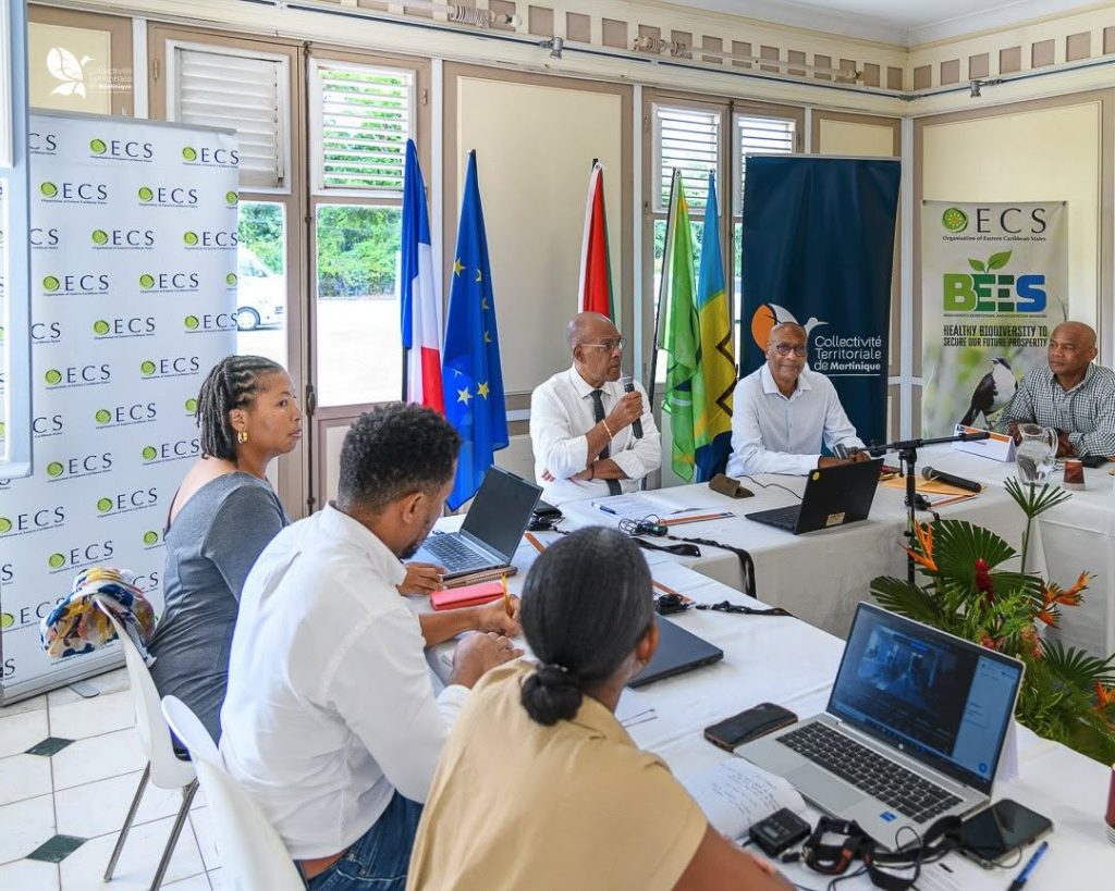 Idées de sorties en Martinique : découvrez les trésors préservés de l&rsquo;île aux fleurs en Outre-mer