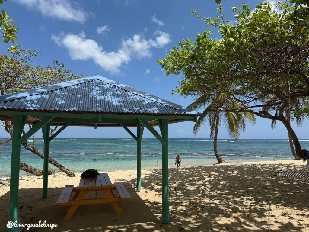 Où Sortir en Guadeloupe : Pourquoi la Plage de l’Autre Bord au Moule est l&rsquo;Escale Incontournable d&rsquo;Outre-mer ?