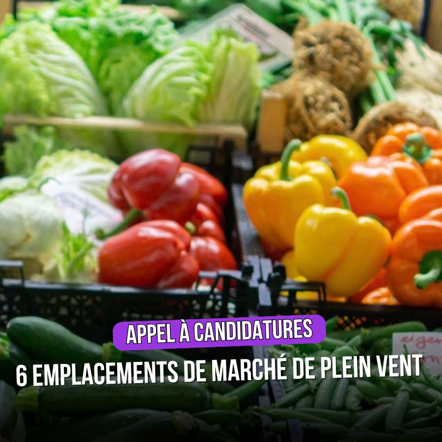 Que faire au Tampon à La Réunion ? Découvrez les meilleures étapes gourmandes et locales en Outre-mer