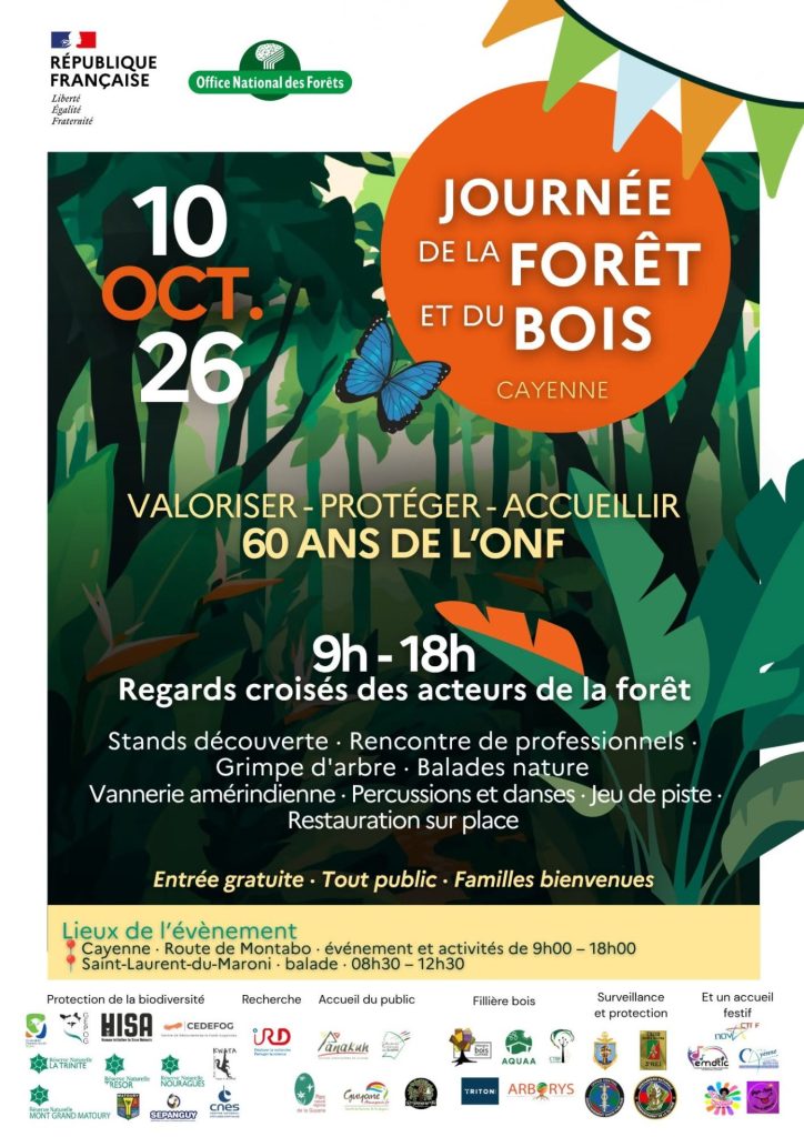Que faire en Guyane : plongez au cœur de la forêt amazonienne lors d&rsquo;une journée inédite en Outre-mer
