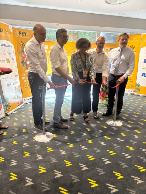 PEY’INNOV 2026 : Quelles sont les nouvelles expériences gourmandes à tester en Martinique et en Outre-mer ?