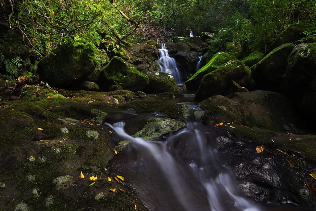 Randonnées secrètes et cascades cachées à La Réunion : les plus beaux trésors préservés d&rsquo;Outre-mer