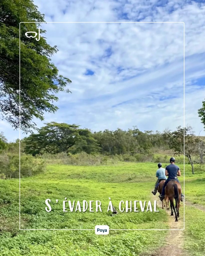 Écotourisme et balades à cheval à Poya : comment vivre la brousse avec Sud Tourisme Nouvelle-Calédonie dans l&rsquo;Outre-mer ?