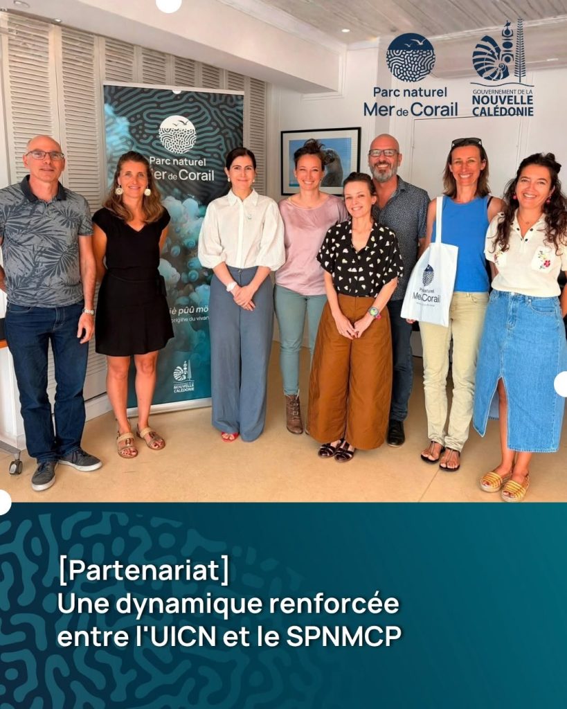 Où voyager pour vivre un éco-tourisme d&rsquo;exception : la mer de Corail en Nouvelle-Calédonie, joyau d&rsquo;Outre-mer