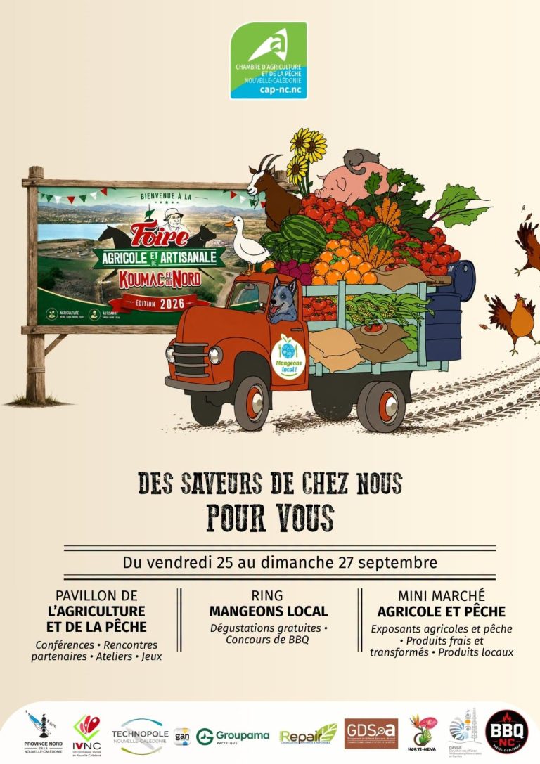 Que faire à Koumac : vivez la célèbre Foire du Nord en Nouvelle-Calédonie, l&rsquo;événement phare en Outre-mer