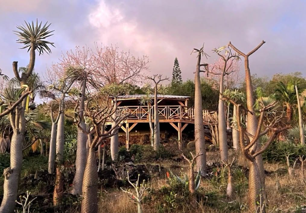 Quoi faire à Saint-Leu : vivez un apéro sunset inoubliable au Jardin Naturel à La Réunion pour explorer l&rsquo;Outre-mer