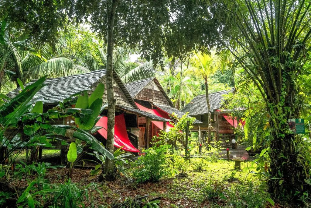 Comment vivre l&rsquo;expérience authentique du carbet en Guyane : un produit signature d&rsquo;Outre-mer à l&rsquo;honneur avec le Comité du Tourisme de la Guyane