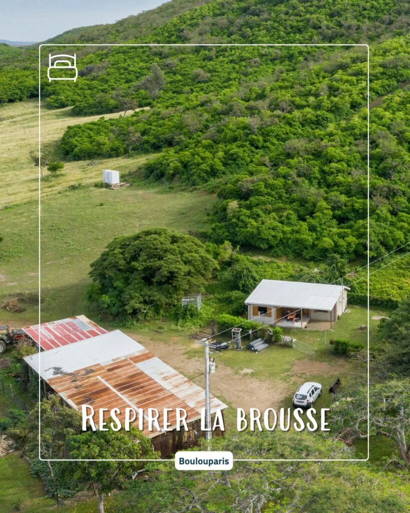 Évasion en Nouvelle-Calédonie : Et si le bonheur en Outre-mer, c’était de se mettre au vert en brousse ?