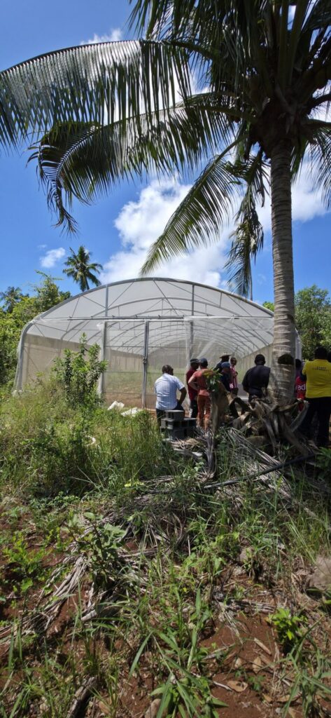 Où voyager à Mayotte ? Immersion gourmande et agritourisme Outre-mer au cœur du Grand Nord