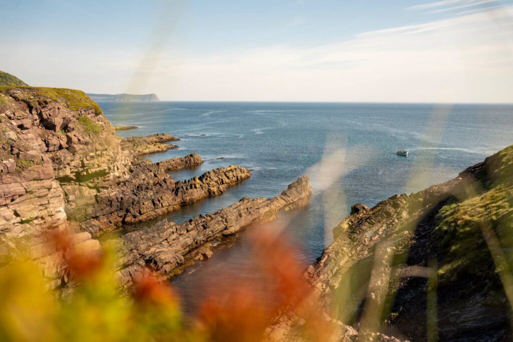 Où voyager cet automne depuis Saint-Pierre et Miquelon ? Évasion nordique en Outre-mer vers St. John’s