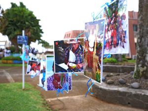 Quoi faire à Sainte-Marie en Martinique : culture, traditions et vivre-ensemble en Outre-mer