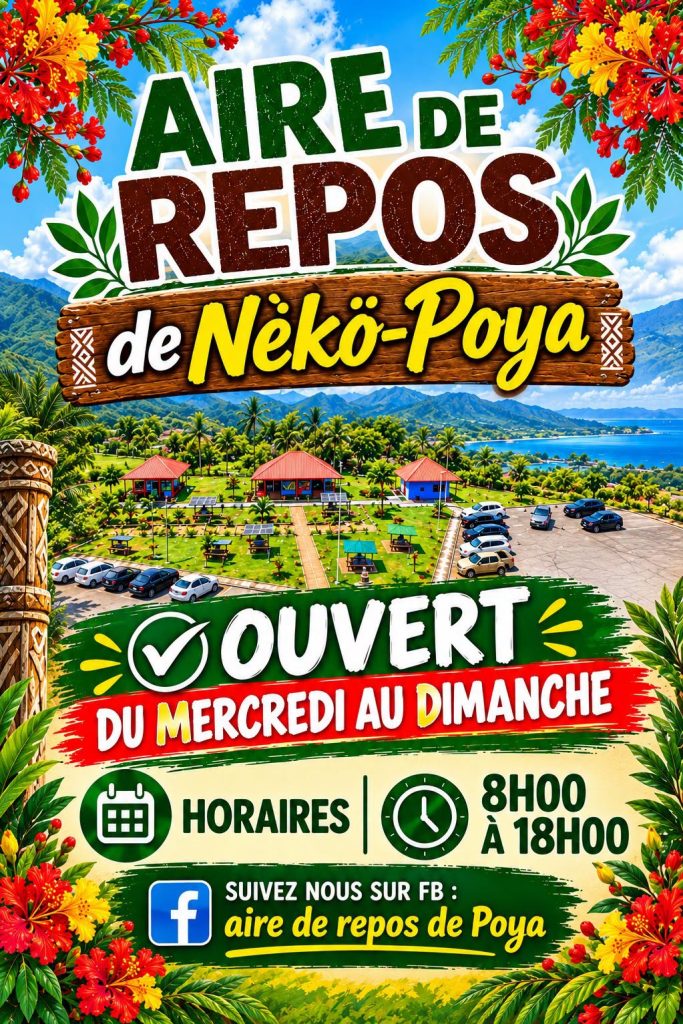 Quoi faire sur la route de Nékö-Poya en Nouvelle-Calédonie : la pause incontournable en Outre-mer