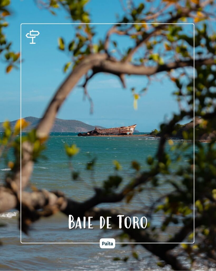 Quoi visiter à Païta en Nouvelle-Calédonie : quelle est la fascinante histoire de l&rsquo;épave du Mélanésia en Outre-mer ?