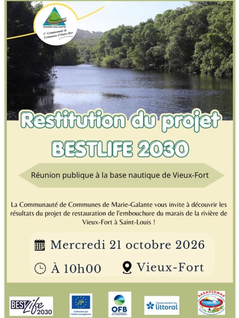 Découvrez la nouvelle vie du marais de Vieux-Fort : Un joyau de la Guadeloupe et un modèle pour l&rsquo;Outre-mer