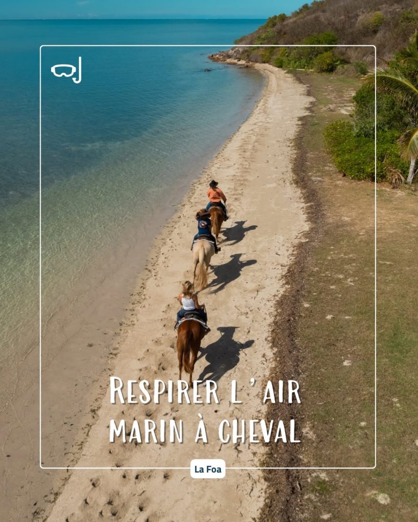 Balade à cheval au bord du lagon : que faire à La Foa grâce à Sud Tourisme Nouvelle-Calédonie en Outre-mer ?